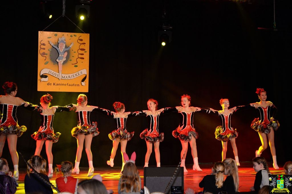 ../Images/Dansmarieke festival 2018 109.jpg
